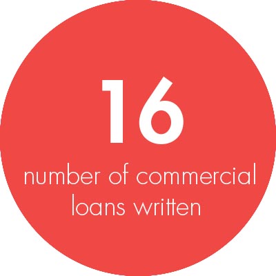 Commercial Business Writers 2016. Loan Written Stats