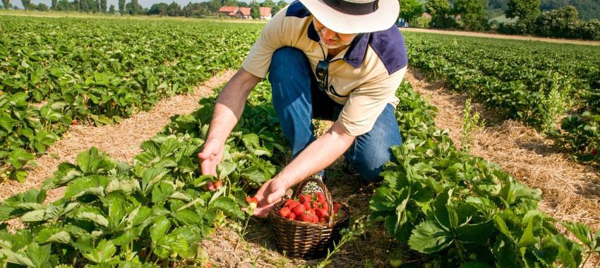 34% of farmers eyeing raised business investment