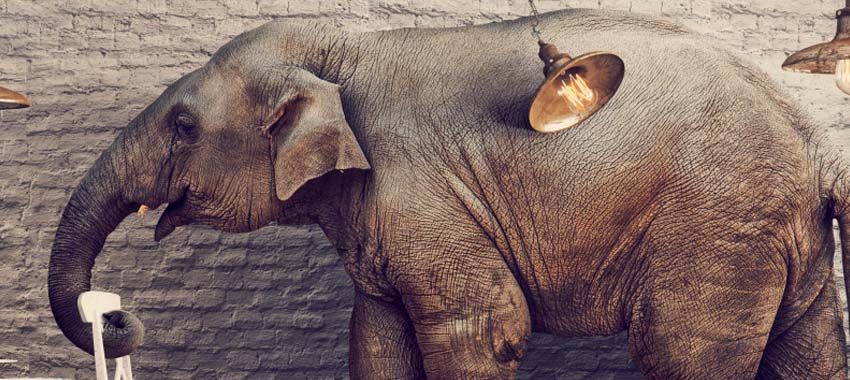 Compliance standardisation: Addressing the elephant in the room