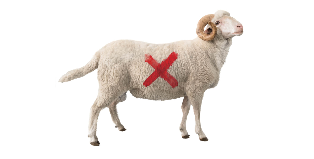 thumb-coverstory r2-img3